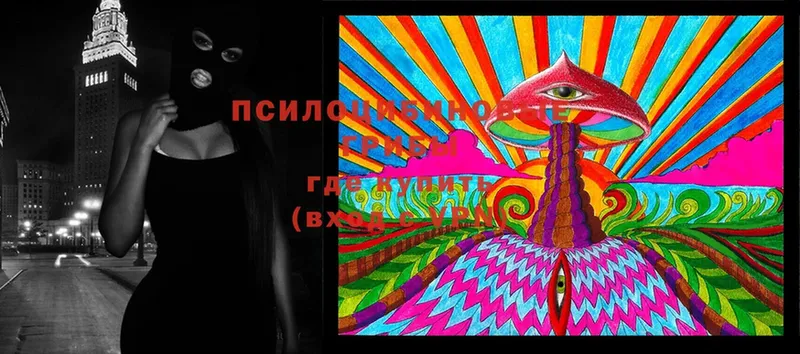 Псилоцибиновые грибы Cubensis  Джанкой 